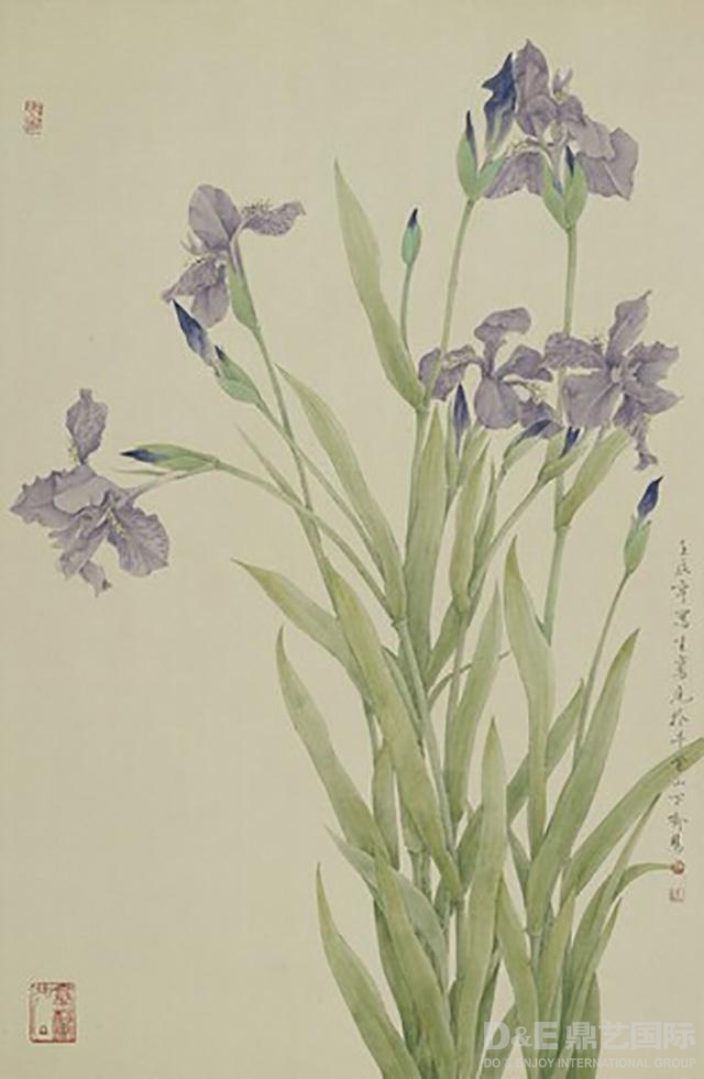 清明《本草纲目之鸢尾》2012年