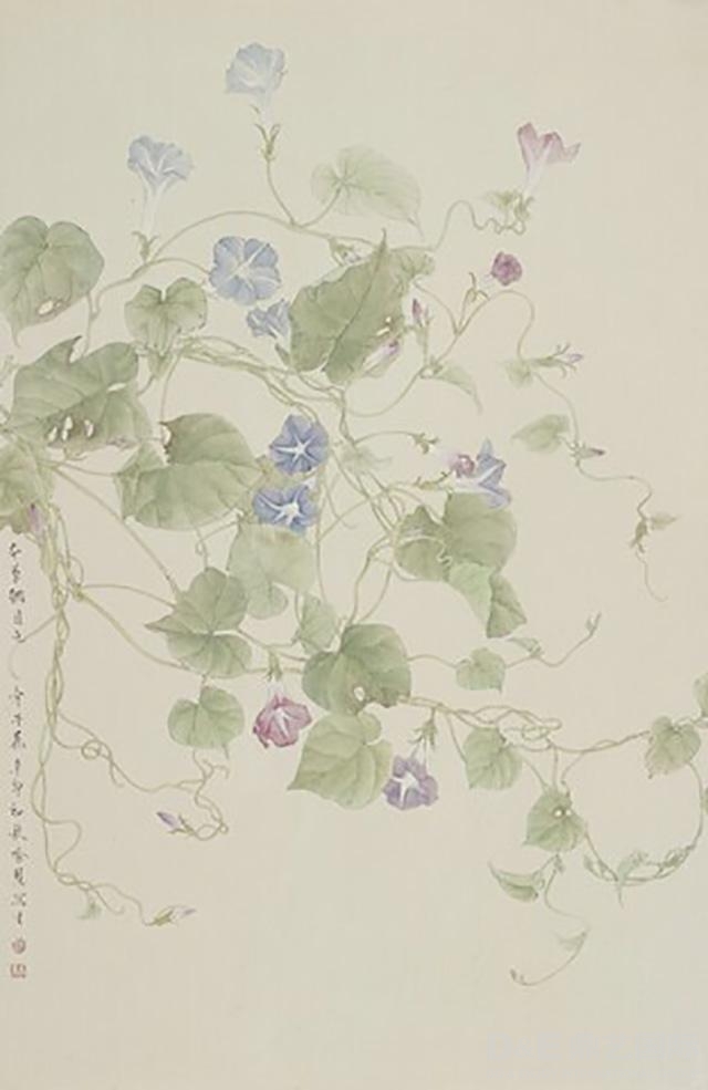 夏至《本草纲目之牵牛》2011