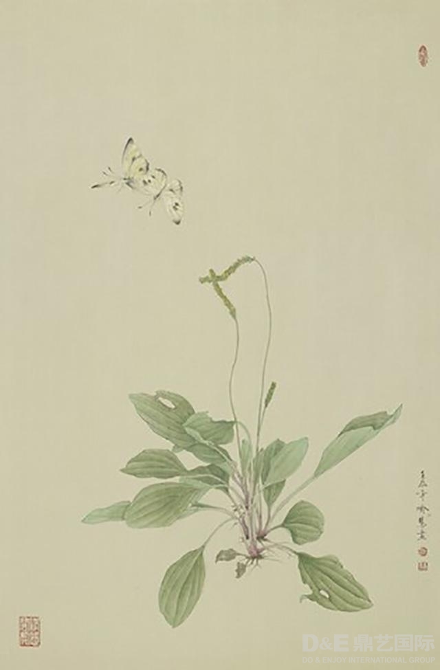 处暑《本草纲目之车前子》2012年